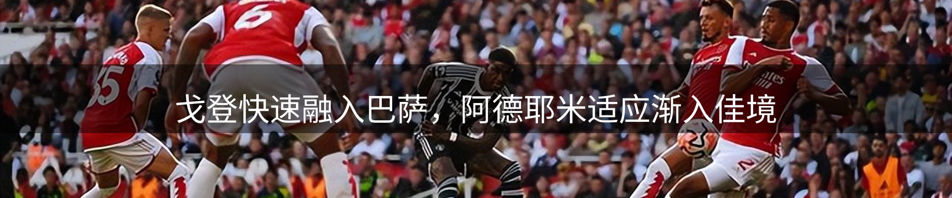 平台观察
